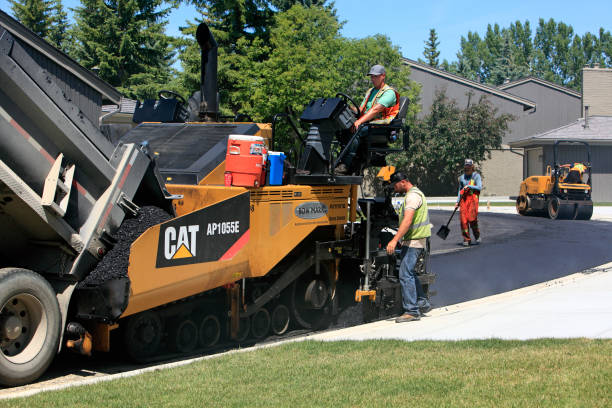 Best Local Driveway Pavers  in The Hills, TX